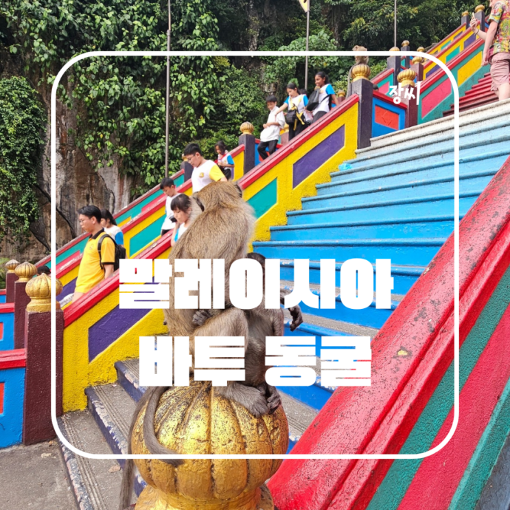  말레이시아 쿠알라룸푸르 힌두교 사원 바투 동굴에서 원숭이를 봤어요