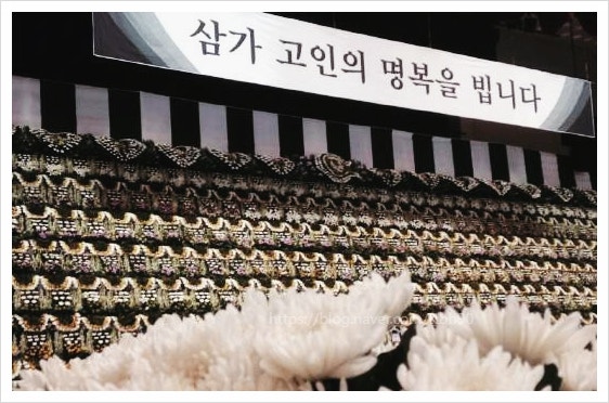 전국 합동분향소 위치 운영시간 제주항공 사고 국가애도기간 무안국제공항 정보