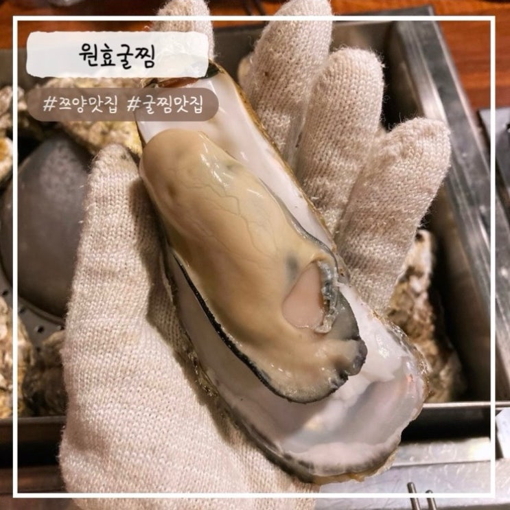  [용산 맛집] "굴찜" 쯔양도 다녀간 원효굴찜 내돈내산 추천