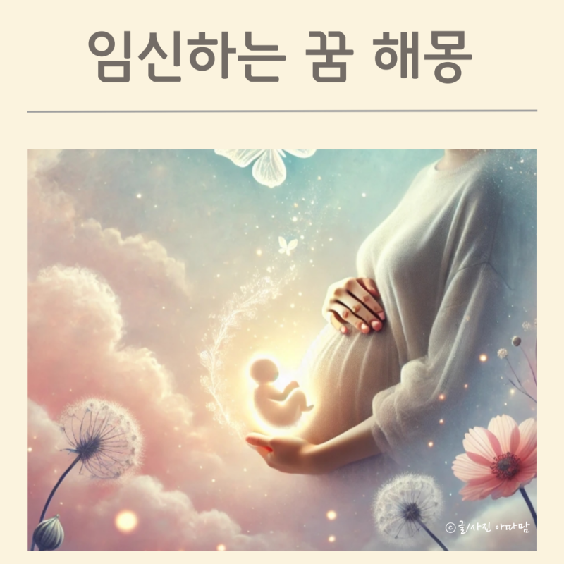 내가 임신하는 꿈 친구가 임신한 꿈 아내가 딸 임신하는 태몽