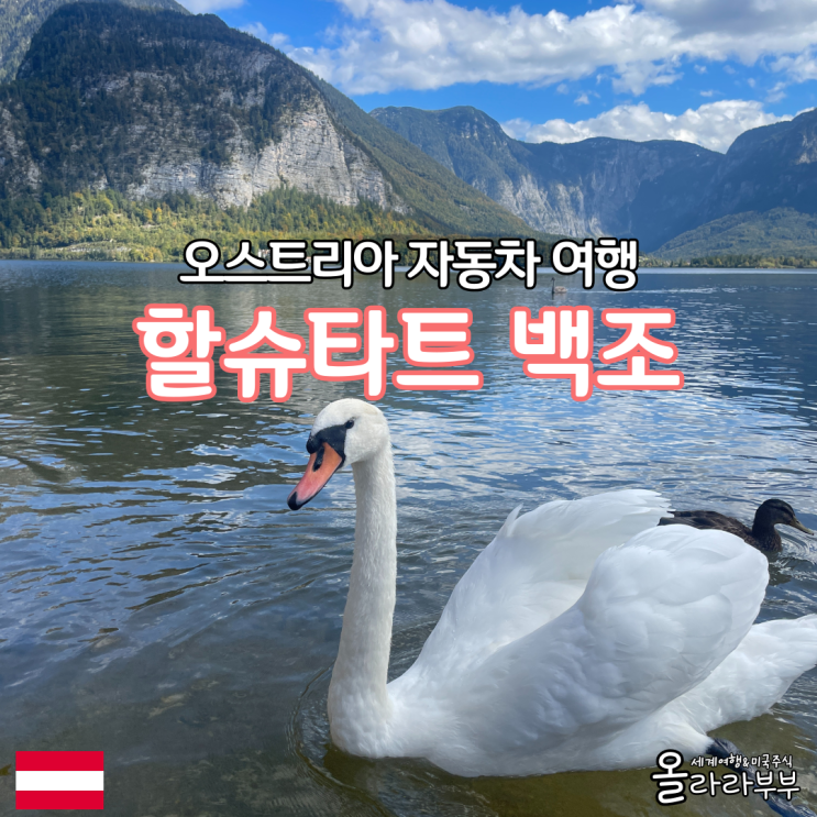  오스트리아 할슈타트 여행 호수 백조 날씨