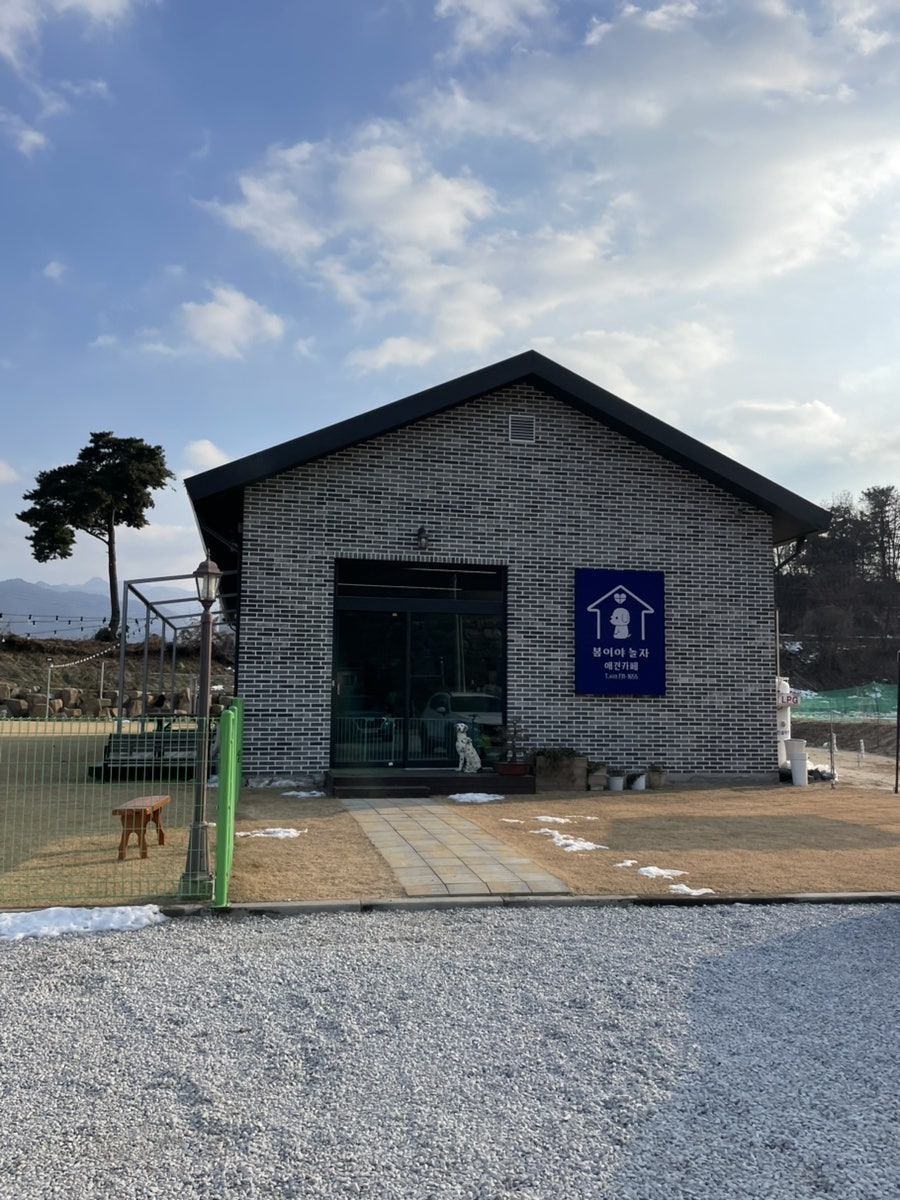 봄이야놀자 사진 1