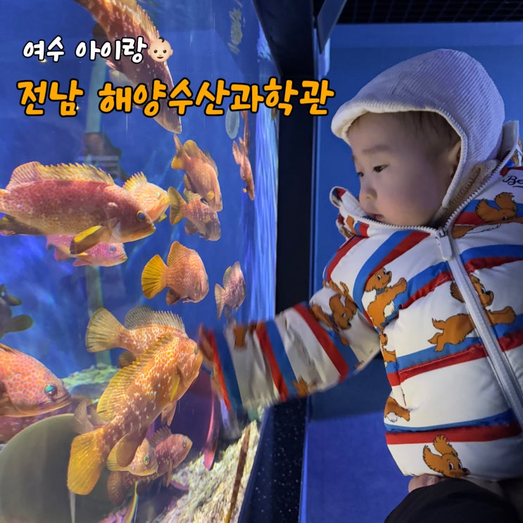  여수 아이랑 갈만한 곳 - 전남해양수산과학관, 17개월 아기 강추