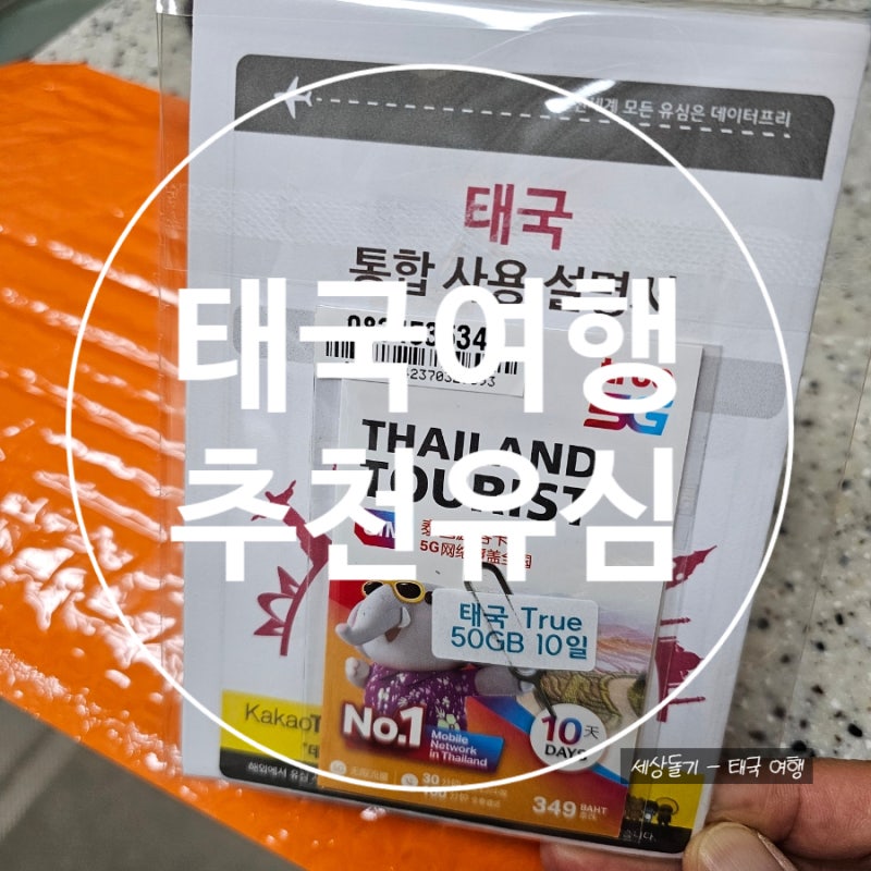 태국 여행 데이터프리에서 10일 50기가 유심구매 후기
