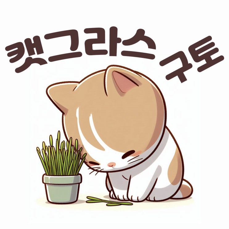  캣그라스 급여법과 주의사항 고양이 구토 예방부터 올바른 급여 횟수까지