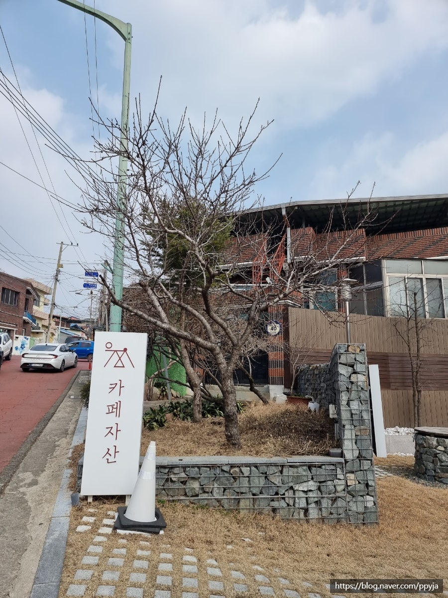 찜비안 사진 6