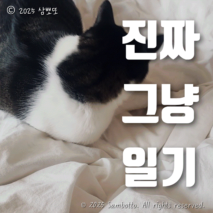  진짜 그냥 일기 | 해피뉴이어 2025! | 내돈내산 우동 맛집 우동가조쿠 일산웨스턴돔점 | 연말에는 수작에서 연말분위기 내기