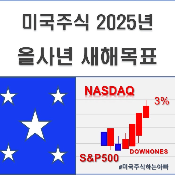  미국주식 2025년 을사년 새해목표