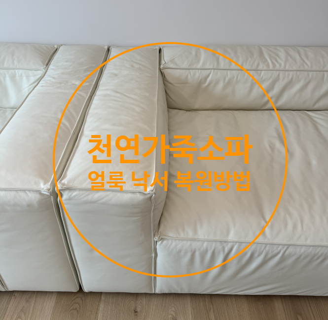  천연가죽소파 얼룩, 낙서 제거 복원 과정
