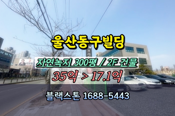  울산동구 상가건물 경매 일산동 등대사거리 꼬마빌딩 20억