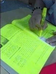  간호사 국가고시 준비중인 근황