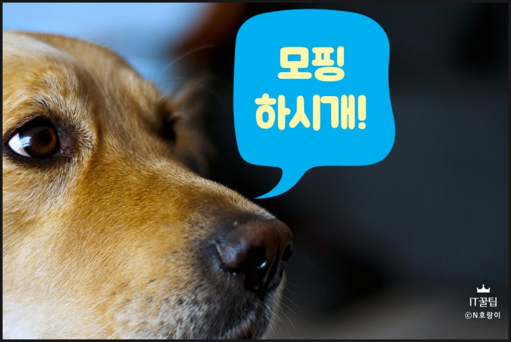 ppt 모핑 통하여 화면 전환하는 방법 ppt 모핑 통하여 화면 전환하는 방법