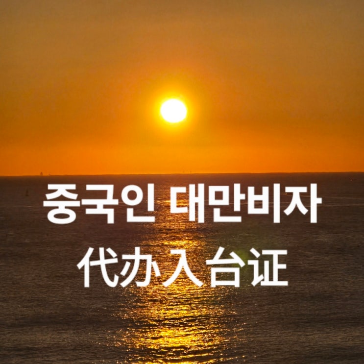  재한 중국인 대만비자