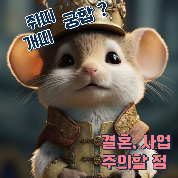 쥐띠 개띠 궁합 (결혼, 사업, 주의할 점)