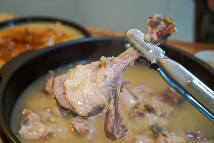  포천 닭백숙 맛집 운악산의뜰 건강하고 담백한 한상 추천