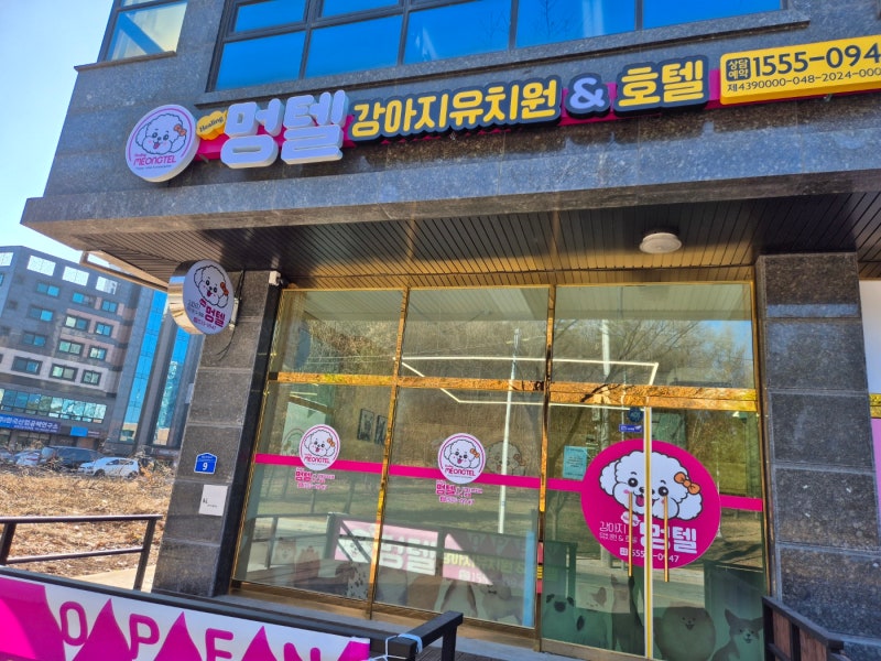 사진 2