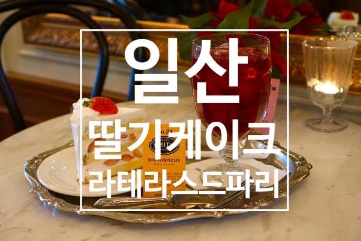  일산딸기케이크 맛집,분위기맛집 라테라스드파리