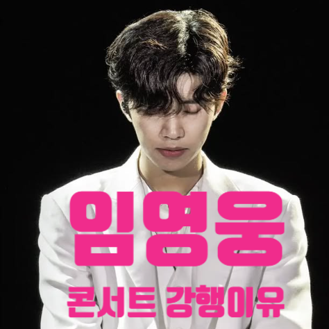 국가 애도 기간 임영웅 콘서트 강행 이유 인스타 고백