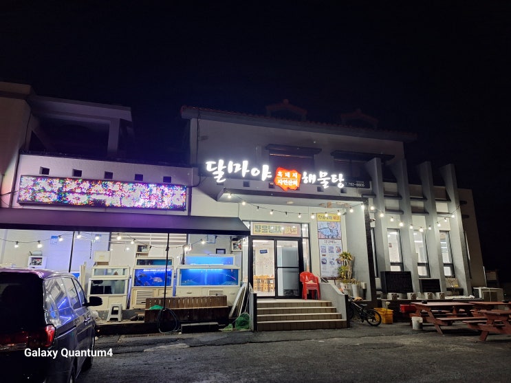  제주 북촌 맛집 달마야해물탕 북촌 - 신선한 해산물과 흑돼지의 조화