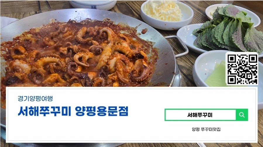 서해쭈꾸미 양평용문점 사진 1