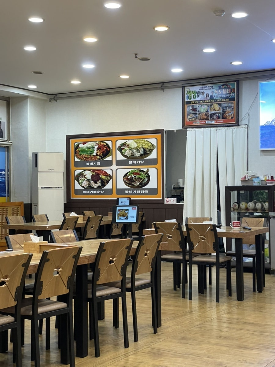 독도볼태기 사진 4