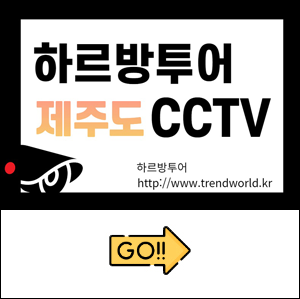 제주여행 날씨 도로교통 바다 한라산 공항 실시간 CCTV 영상 확인하는 홈페이지