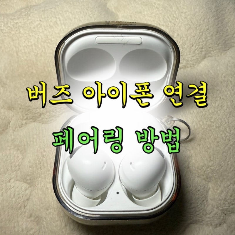 버즈 아이폰 연결/동영상설명/버즈프로2 노이즈 캔슬링 가능