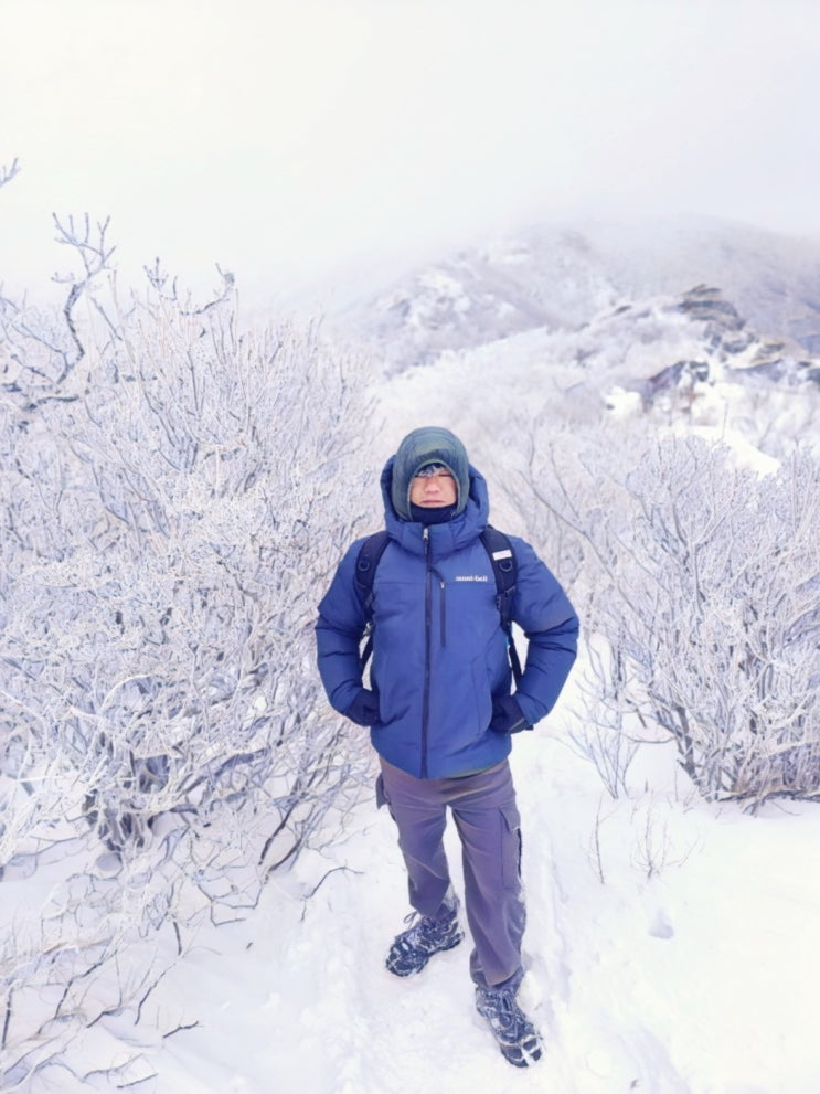  눈꽃산행의 절정 : 전북 무주 덕유산 등산코스