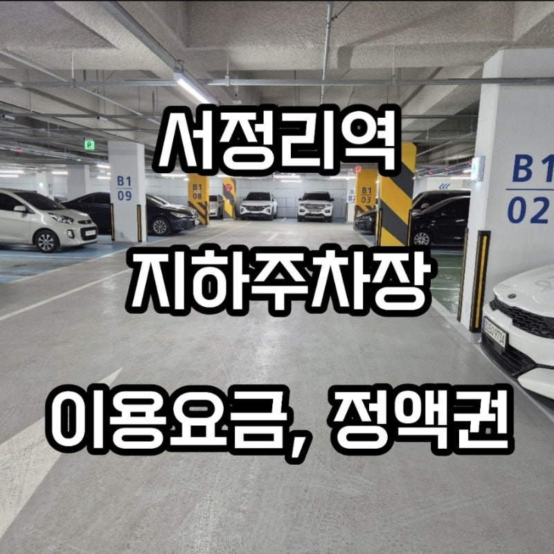 평택 서정리역 주차장 실제 이용후기, 요금 정보까지
