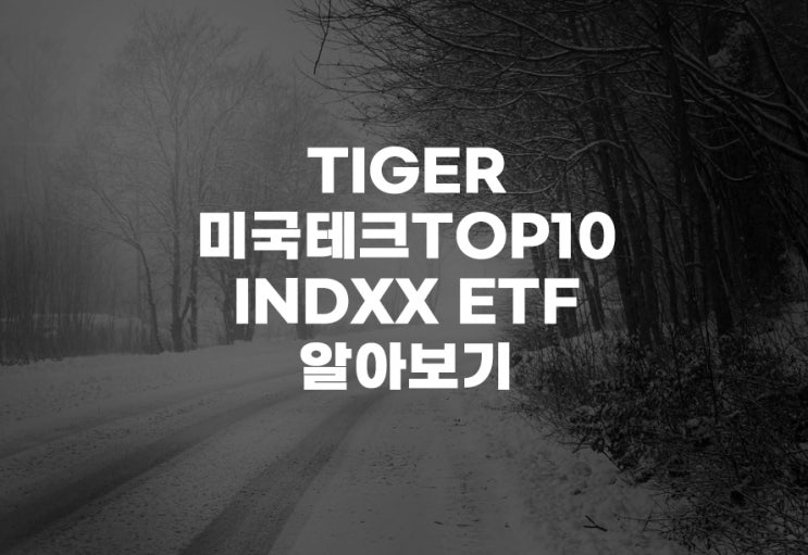  TIGER 미국테크TOP10 INDXX[381170] ETF 주식 주가 의미 분석