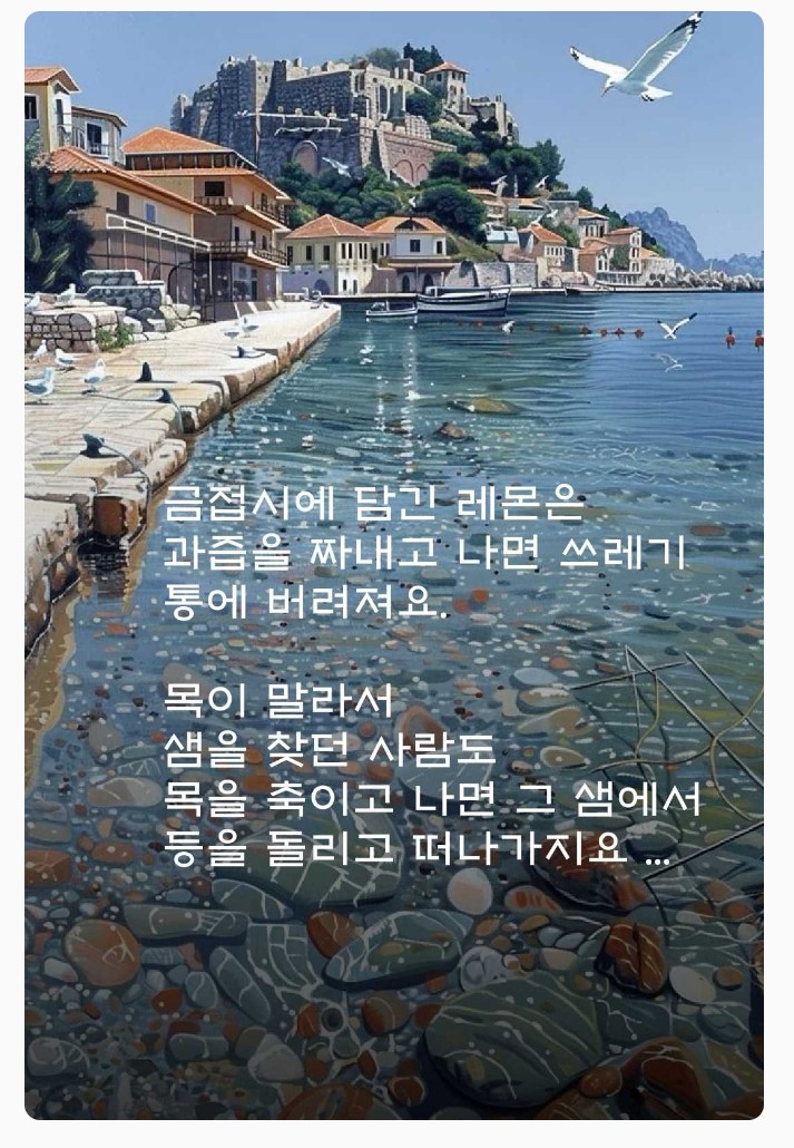 인생 인생