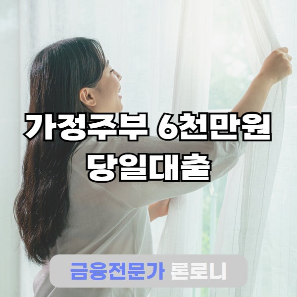 가정주부 6000만원 소득증빙 없이 당일대출 성공사례