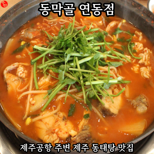 제주공항 주변 맛집 동태탕 아침식사 동막골 연동점