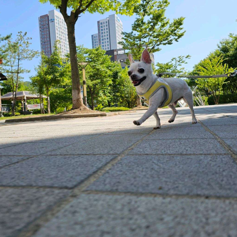사진 3