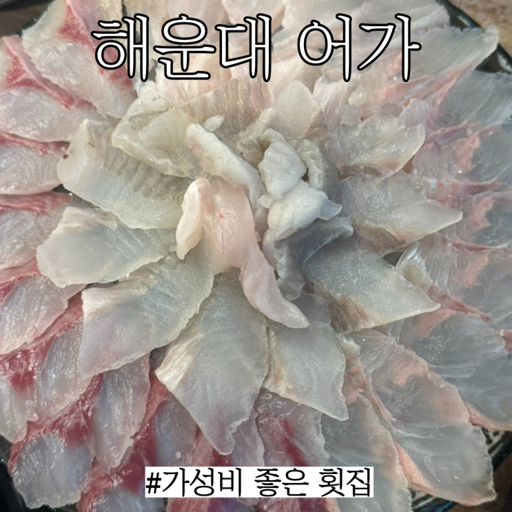  해운대역 횟집:해운대역 근처에 있고 가성비 좋은 횟집 "어가"