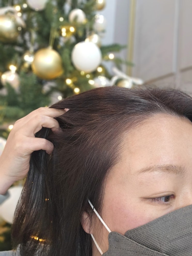  대전 도안동 목원대 미용실 루덴헤어 쿨브라운 염색
