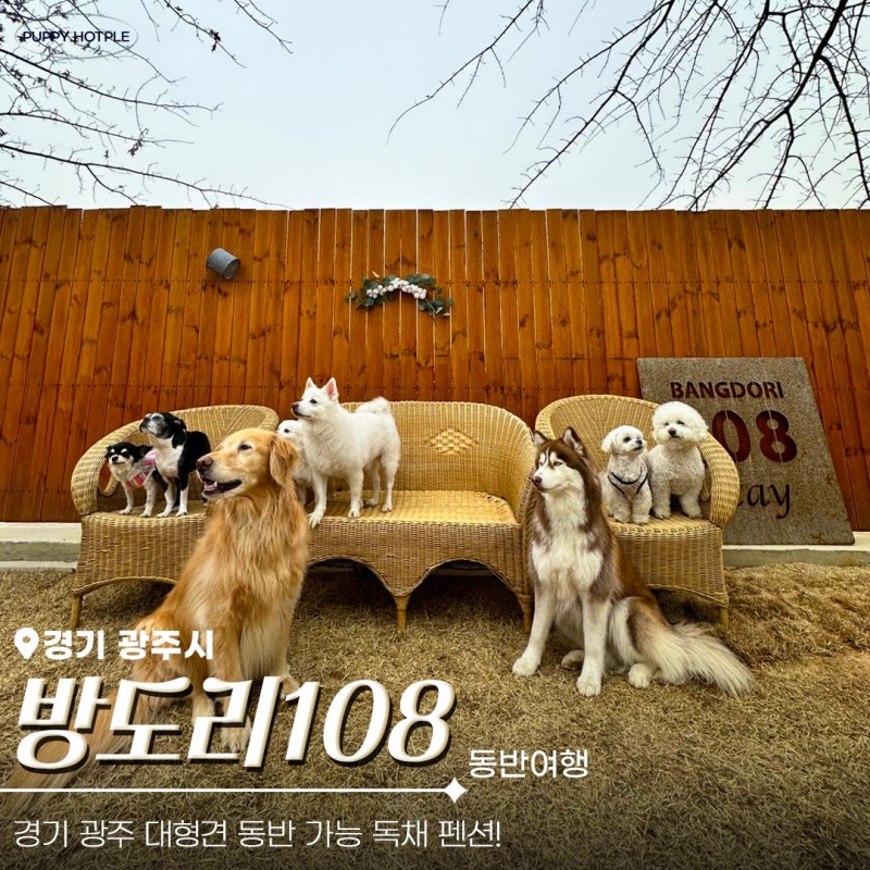 사진 4