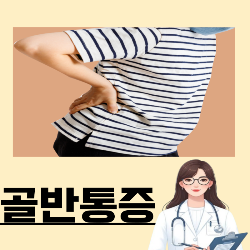 여자 왼쪽 오른쪽 골반 통증 원인 병원 안 다니고 대처법까지 알아보자