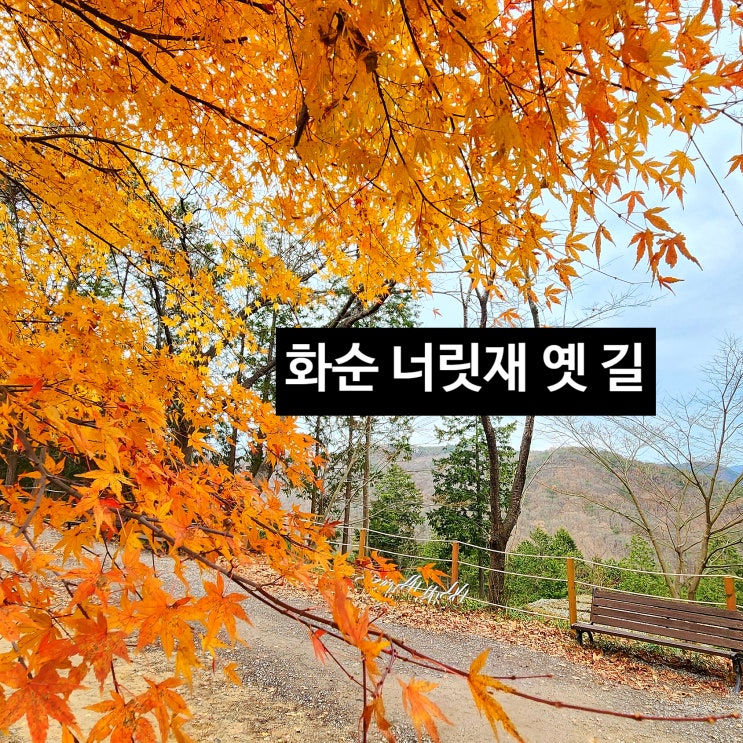 〔전남화순〕화순 너릿재 옛길 산책(해발 245M) - 단풍이 이쁘고 길이 편안한 곳