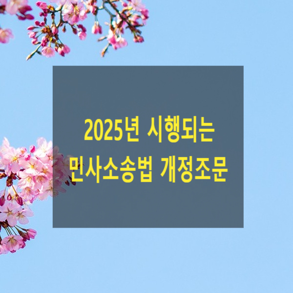  2025년 시행되는 민사소송법 개정조문(항소이유서 제출기간 40일, 비밀보호를 위한 열람, 복사, 송달의 제한)