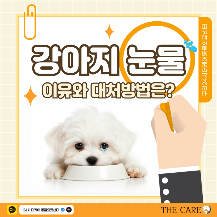  강아지가 눈물을 흘리는 이유와 대처방법