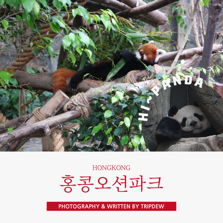  홍콩오션파크 200% 즐기기 필수코스