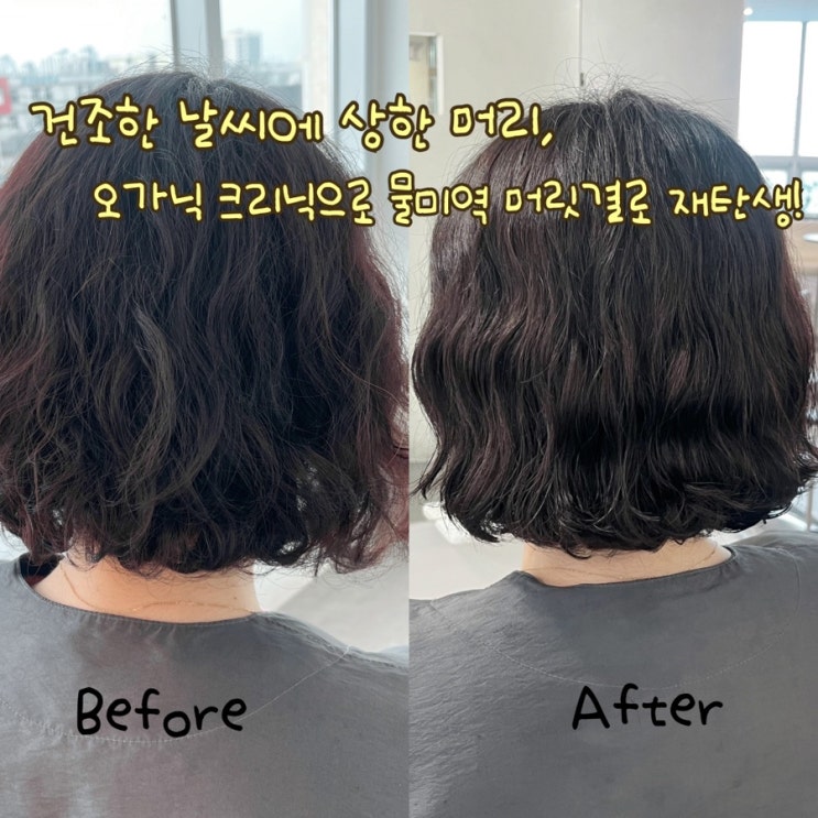  평택미용실 르무이헤어룸 평택본점에서 오가닉 크리닉, 물미역 머릿결로 재탄생!