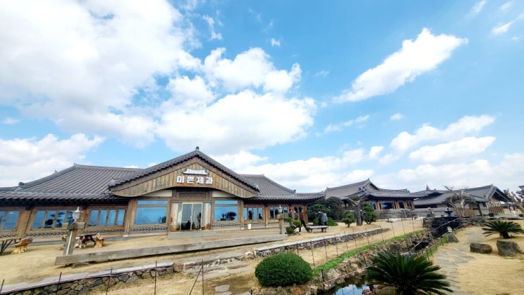  제주 여행의 숨은 보석, 미쁜제과에서 즐긴 특별한 주스