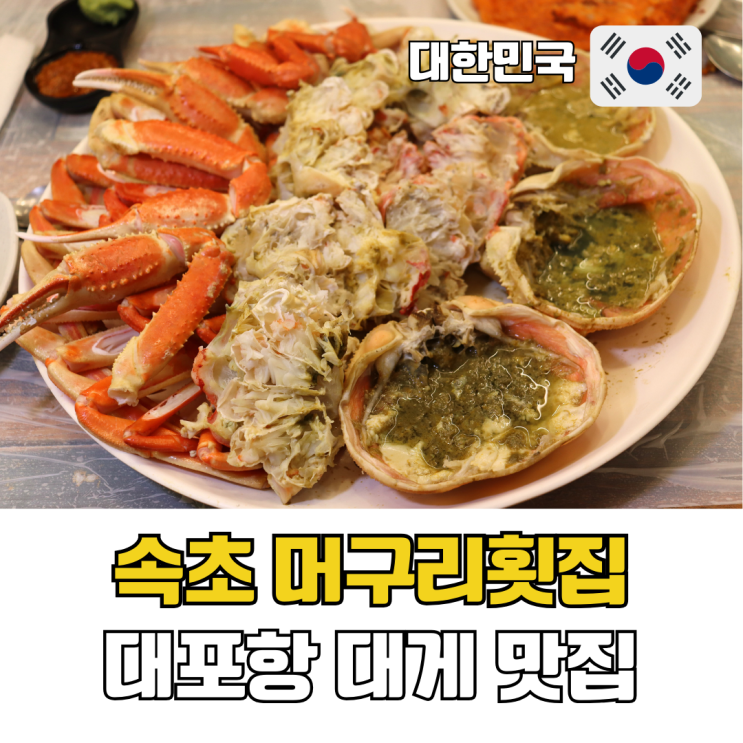  속초 대게 맛집 추천 대포항 횟집 머구리횟집