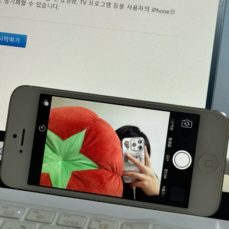 아이폰5 살리기 아이폰 리셋 무한사과 해결방법 DFU 복원하기 강제재부팅 아이폰 공장초기화