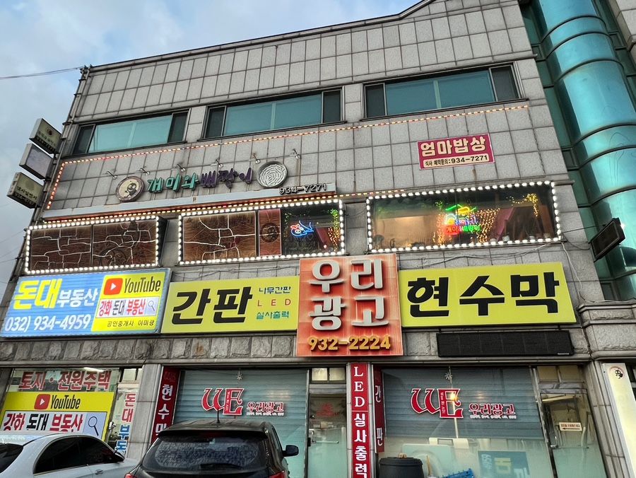 개미와배짱이 사진 1