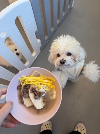 사진 8