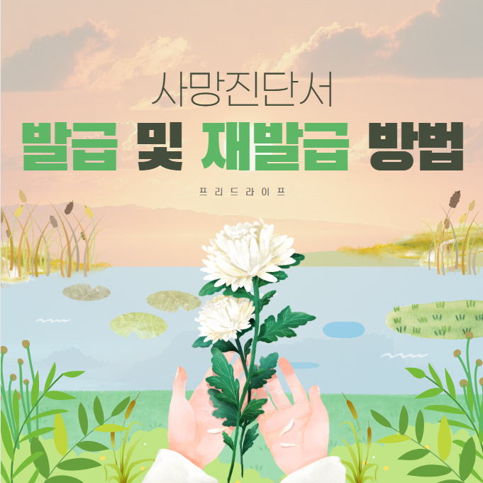 사망진단서 발급 및 재발급 방법 알아보기