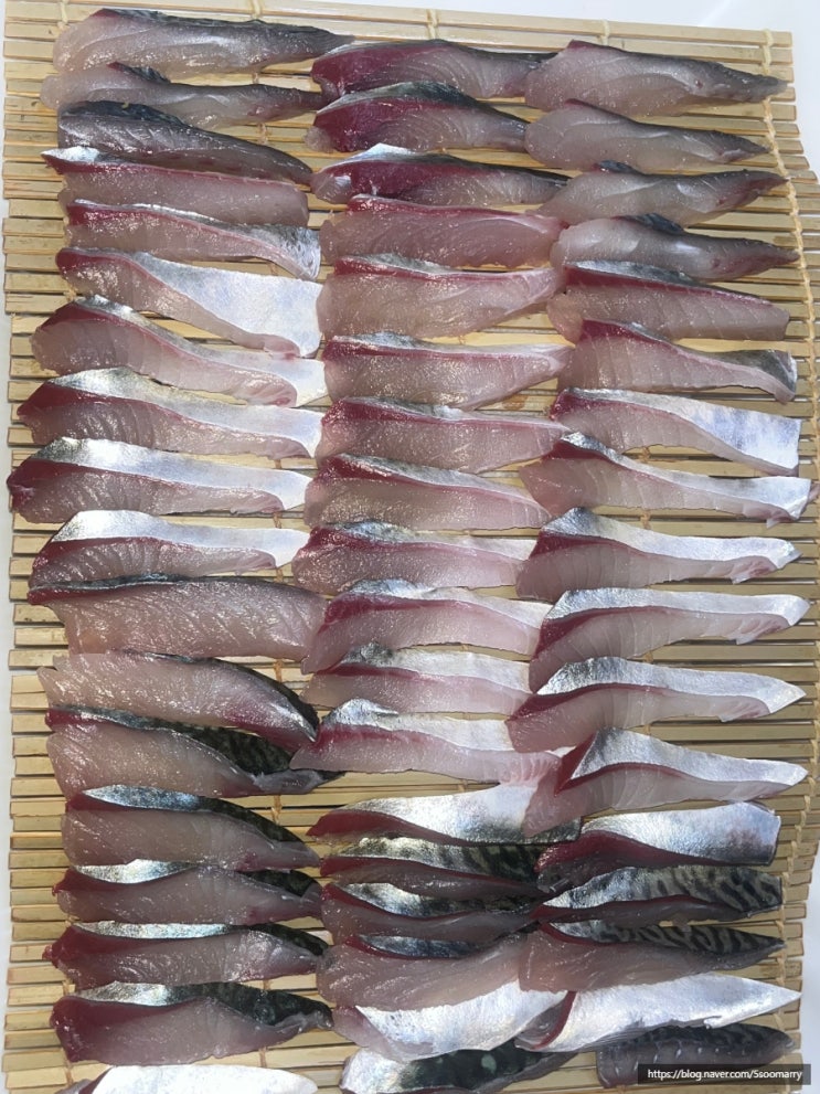  제주 시청 원담 고등어 회 현지인 맛집 웨이팅 지리탕